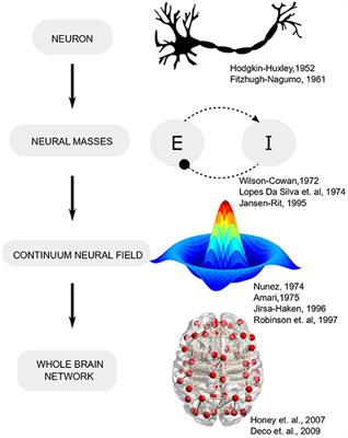 Frontiers | Whole-Brain Network Models: From Physics To Bedside